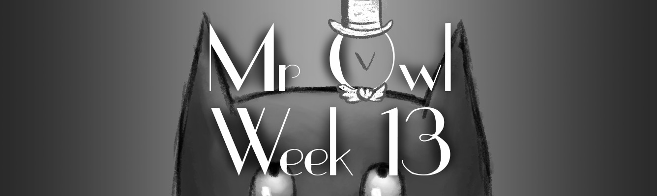 Mr Owl Week 13